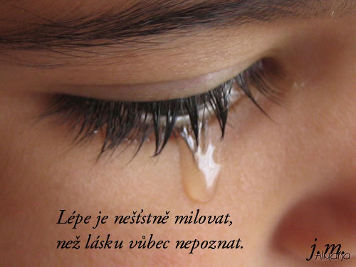 nl015.jpg